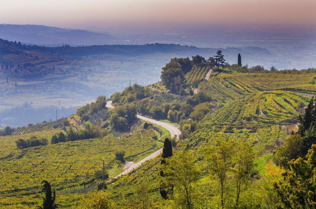 Valpolicella Homes Recioto Apartment SantʼAmbrogio di Valpolicella 外观 照片