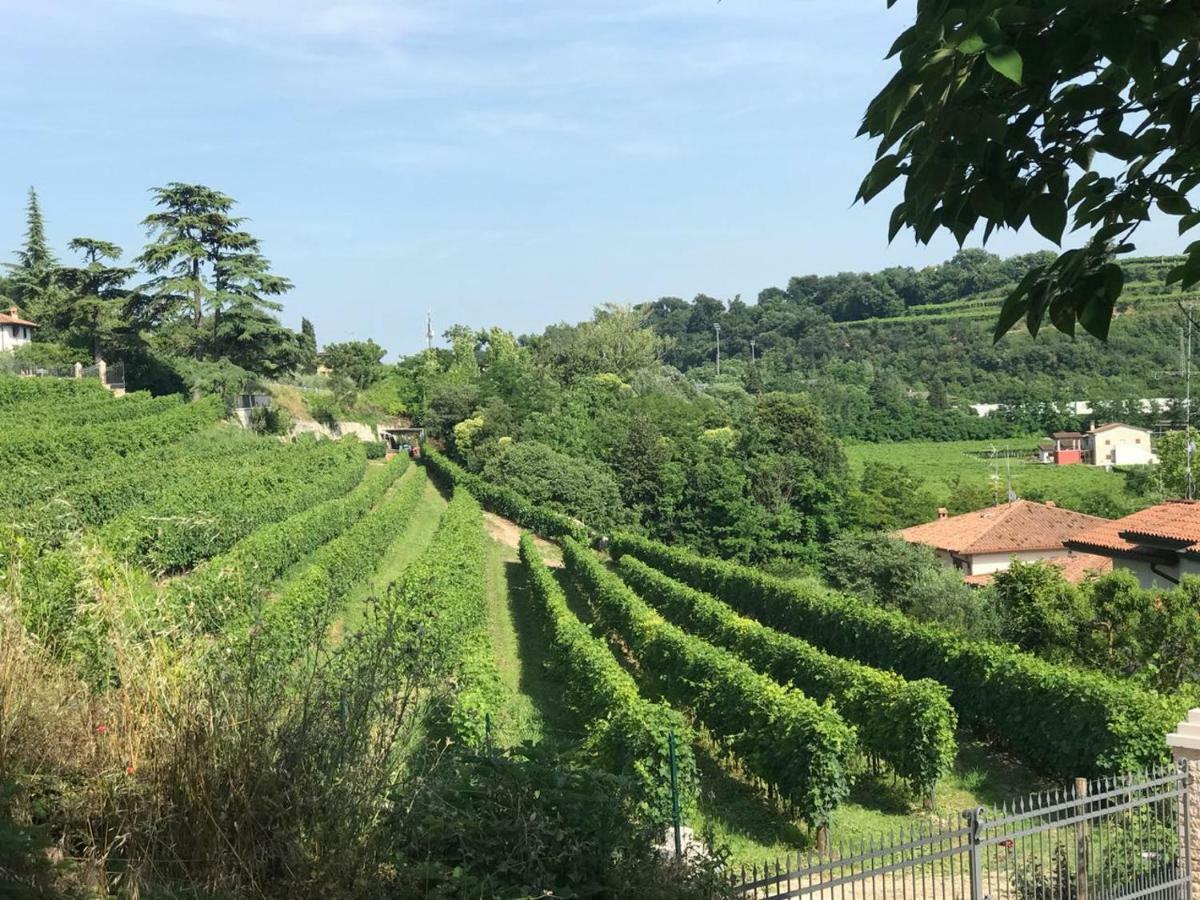 Valpolicella Homes Recioto Apartment SantʼAmbrogio di Valpolicella 外观 照片