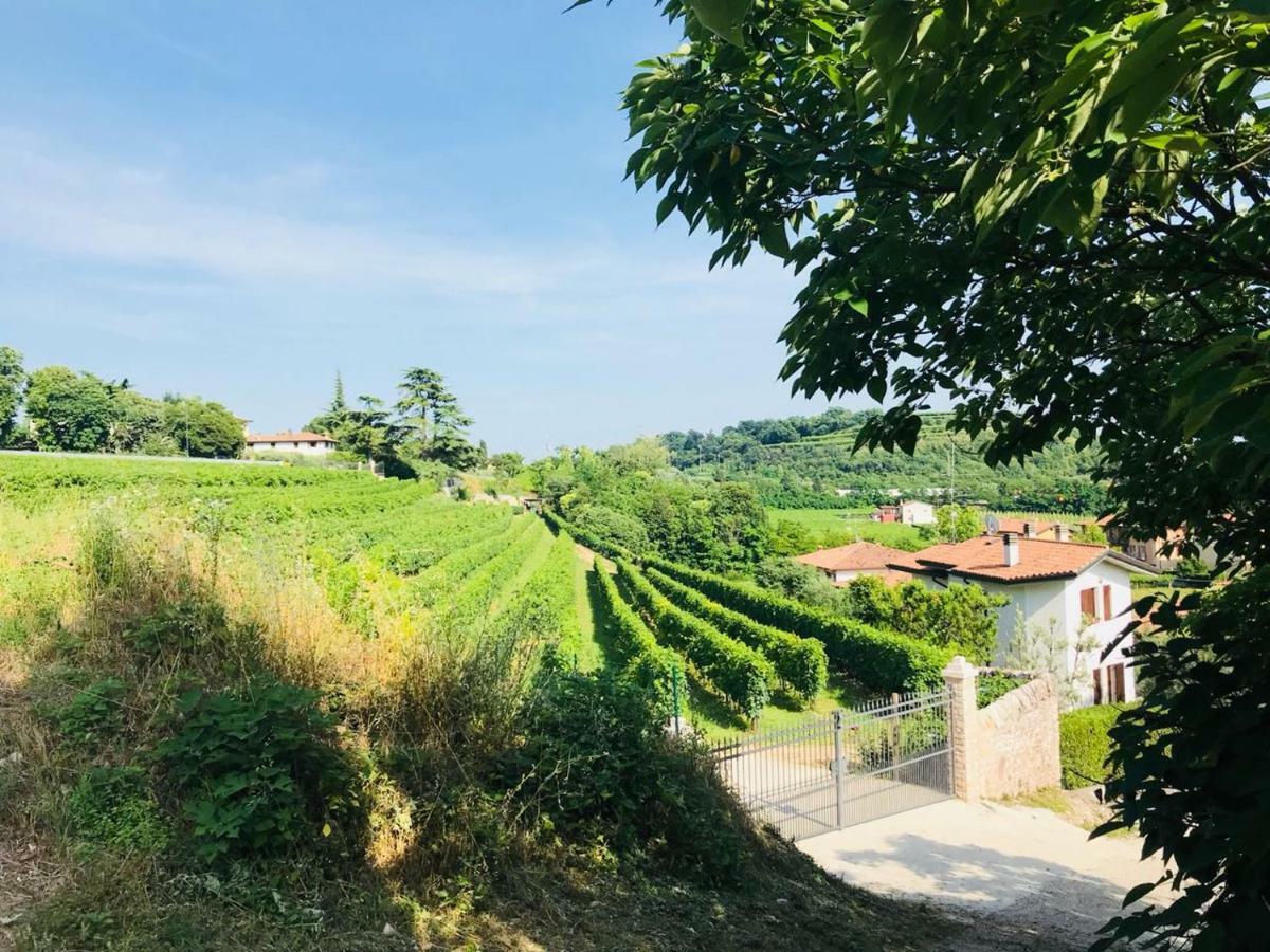 Valpolicella Homes Recioto Apartment SantʼAmbrogio di Valpolicella 外观 照片
