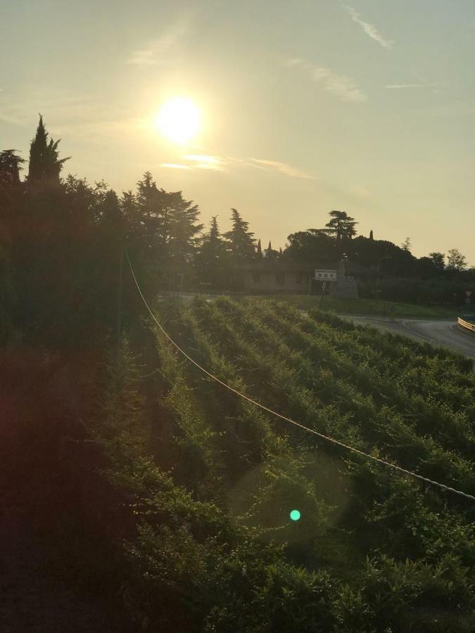 Valpolicella Homes Recioto Apartment SantʼAmbrogio di Valpolicella 外观 照片